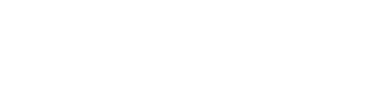 焼鳥酒場 鶏のから騒ぎ